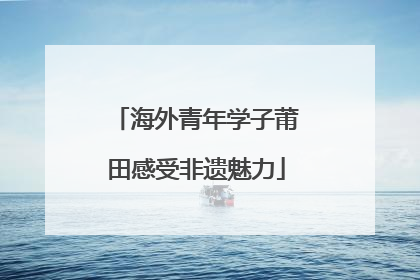 海外青年学子莆田感受非遗魅力