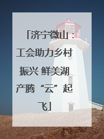 济宁微山：工会助力乡村振兴 鲜美湖产腾“云”起飞