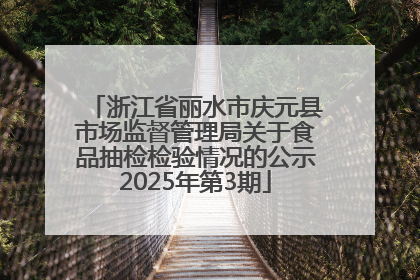 浙江省丽水市庆元县市场监督管理局关于食品抽检检验情况的公示2025年第3期