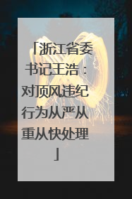 浙江省委书记王浩：对顶风违纪行为从严从重从快处理