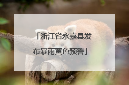 浙江省永嘉县发布暴雨黄色预警
