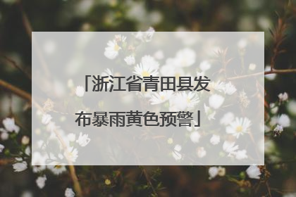 浙江省青田县发布暴雨黄色预警