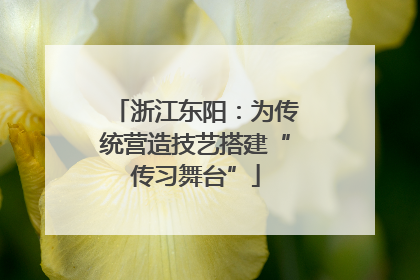浙江东阳：为传统营造技艺搭建“传习舞台”