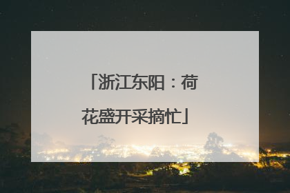浙江东阳：荷花盛开采摘忙