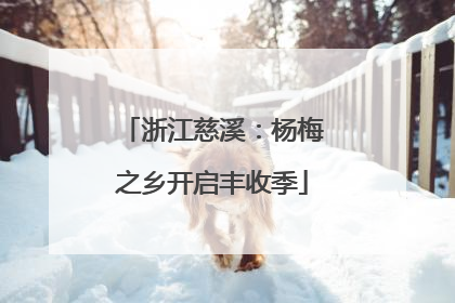 浙江慈溪：杨梅之乡开启丰收季