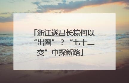 浙江遂昌长粽何以“出圈”？“七十二变”中探新路