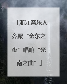浙江音乐人齐聚“金东之夜”唱响“光南之曲”
