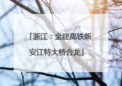 浙江：金建高铁新安江特大桥合龙