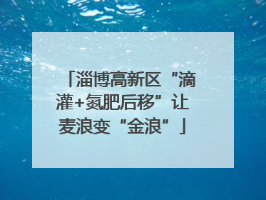 淄博高新区“滴灌+氮肥后移”让麦浪变“金浪”