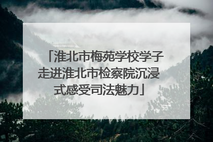 淮北市梅苑学校学子走进淮北市检察院沉浸式感受司法魅力