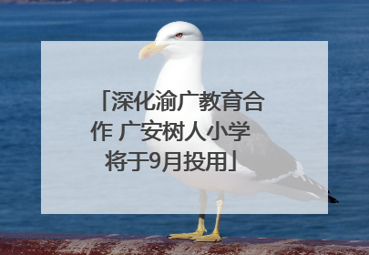 深化渝广教育合作 广安树人小学将于9月投用