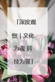 深度观察｜文化为魂 科技为翼