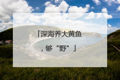 深海养大黄鱼，够“野”