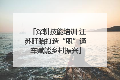 深耕技能培训 江苏盱眙打造“职”通车赋能乡村振兴