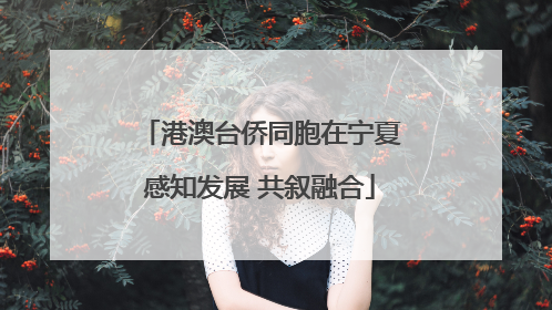 港澳台侨同胞在宁夏感知发展 共叙融合