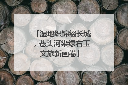 湿地织锦缀长城，苍头河染绿右玉文旅新画卷