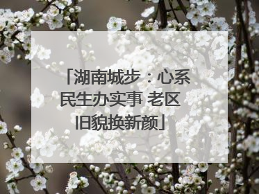 湖南城步：心系民生办实事 老区旧貌换新颜