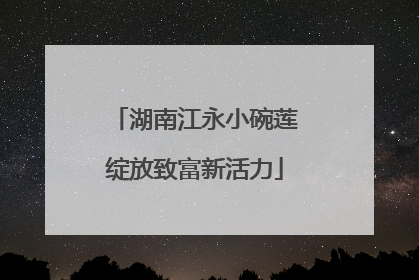 湖南江永小碗莲绽放致富新活力