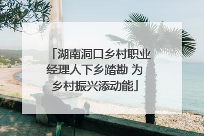 湖南洞口乡村职业经理人下乡踏勘 为乡村振兴添动能