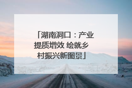 湖南洞口：产业提质增效 绘就乡村振兴新图景