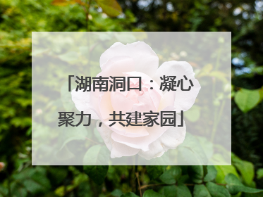 湖南洞口：凝心聚力，共建家园