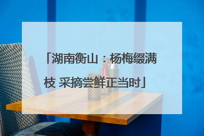 湖南衡山：杨梅缀满枝 采摘尝鲜正当时