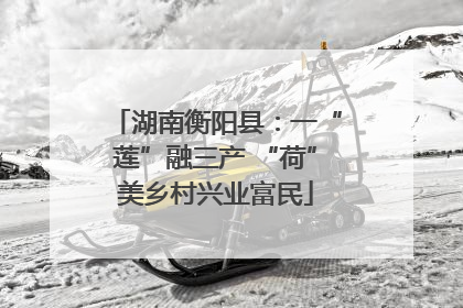 湖南衡阳县：一“莲”融三产 “荷”美乡村兴业富民