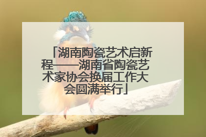 湖南陶瓷艺术启新程——湖南省陶瓷艺术家协会换届工作大会圆满举行