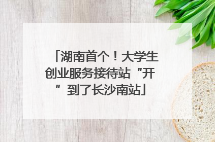 湖南首个！大学生创业服务接待站“开”到了长沙南站