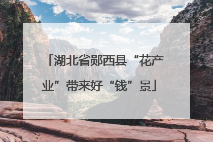 湖北省郧西县“花产业”带来好“钱”景