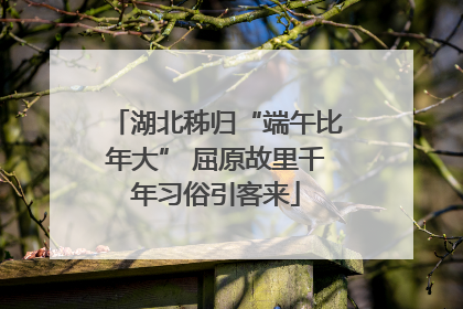 湖北秭归“端午比年大” 屈原故里千年习俗引客来