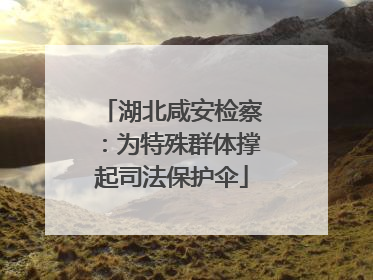 湖北咸安检察：为特殊群体撑起司法保护伞