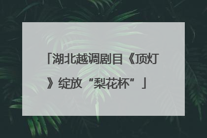 湖北越调剧目《顶灯》绽放“梨花杯”