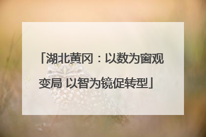 湖北黄冈：以数为窗观变局 以智为镜促转型