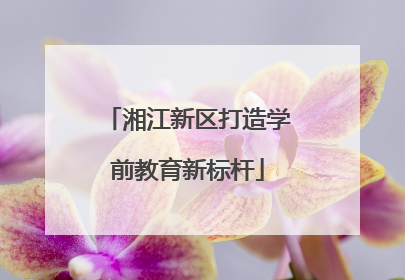 湘江新区打造学前教育新标杆