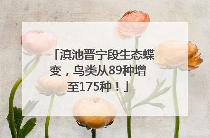滇池晋宁段生态蝶变，鸟类从89种增至175种！