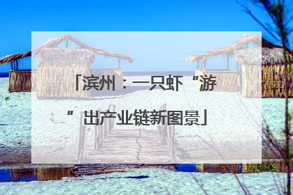 滨州：一只虾“游”出产业链新图景