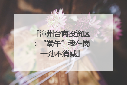 漳州台商投资区：“端午”我在岗 干劲不消减