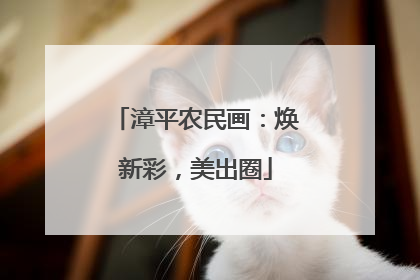 漳平农民画：焕新彩，美出圈