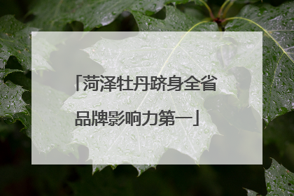 菏泽牡丹跻身全省品牌影响力第一