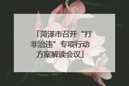 菏泽市召开“打非治违”专项行动方案解读会议
