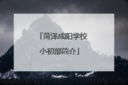 菏泽成阳学校小初部简介
