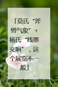 莫氏“斧劈气象”+杨氏“线墨交响”，这个展览不一般
