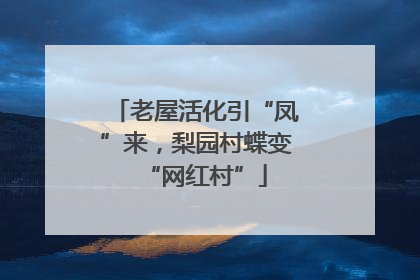 老屋活化引“凤”来，梨园村蝶变“网红村”
