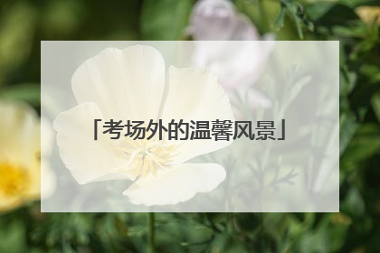 考场外的温馨风景