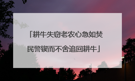耕牛失窃老农心急如焚 民警锲而不舍追回耕牛