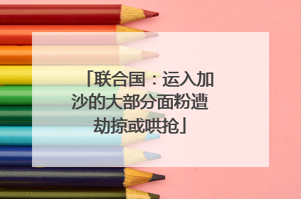 联合国：运入加沙的大部分面粉遭劫掠或哄抢