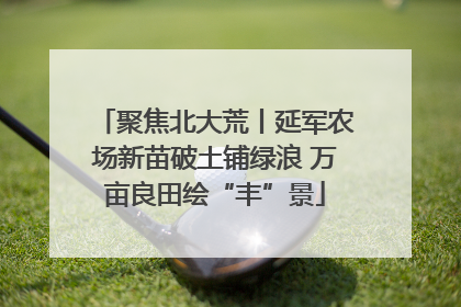 聚焦北大荒丨延军农场新苗破土铺绿浪 万亩良田绘“丰”景