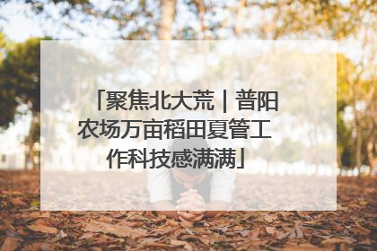 聚焦北大荒｜普阳农场万亩稻田夏管工作科技感满满