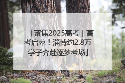 聚焦2025高考｜高考启幕！淄博约2.8万学子奔赴逐梦考场